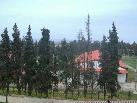 Elhajeb